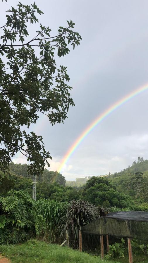 Pousada Pedra Da Mata Chales Na Montanha Munhoz Εξωτερικό φωτογραφία