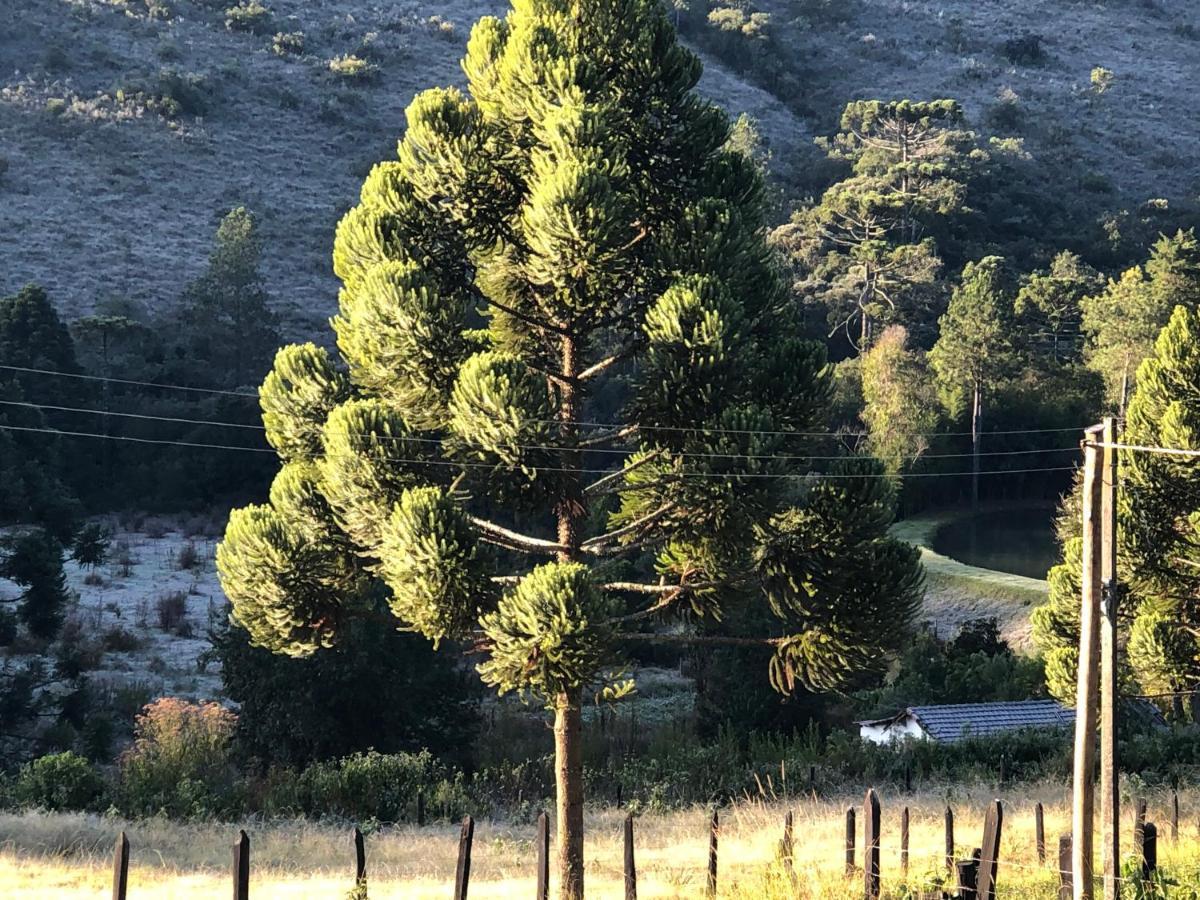 Pousada Pedra Da Mata Chales Na Montanha Munhoz Εξωτερικό φωτογραφία