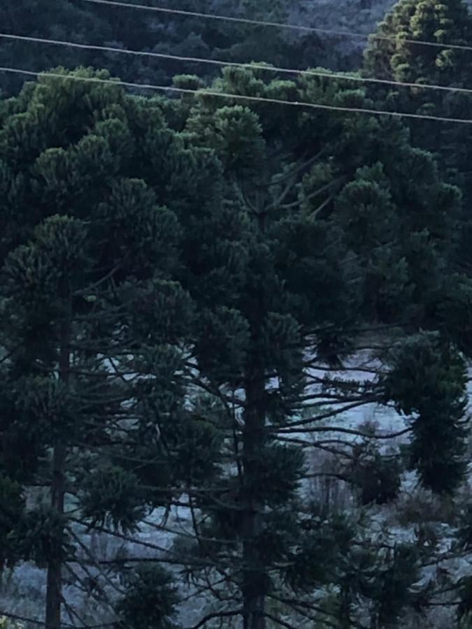Pousada Pedra Da Mata Chales Na Montanha Munhoz Εξωτερικό φωτογραφία