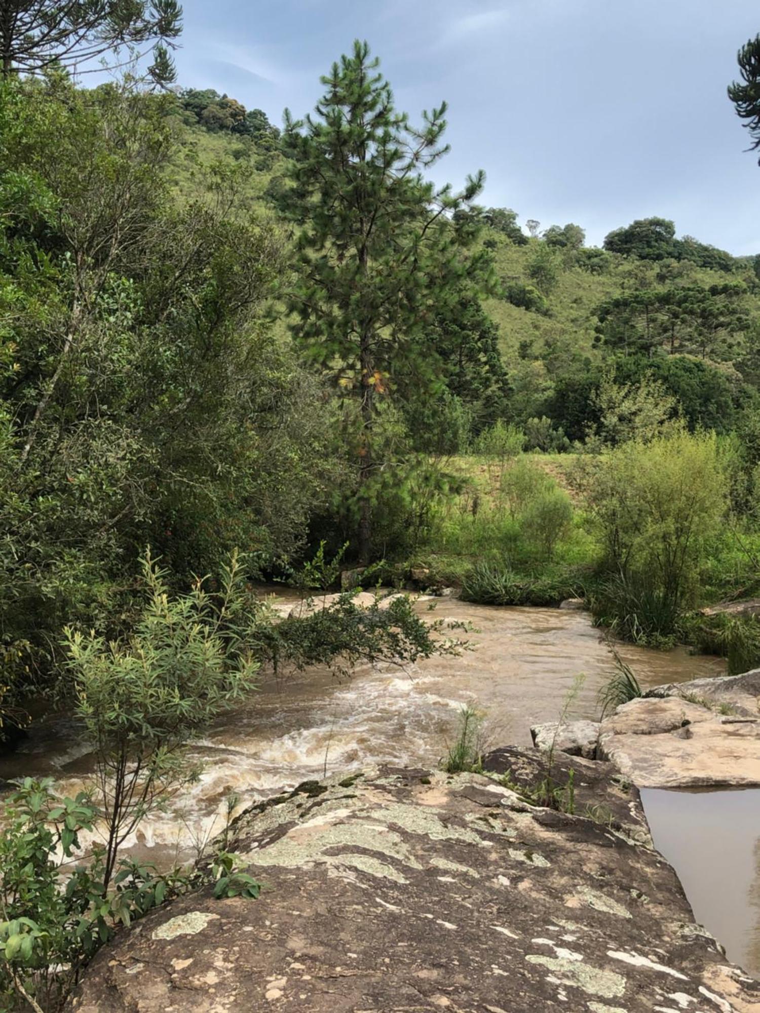 Pousada Pedra Da Mata Chales Na Montanha Munhoz Εξωτερικό φωτογραφία